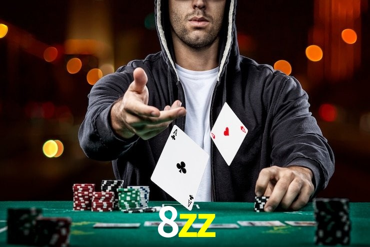 8zz.com